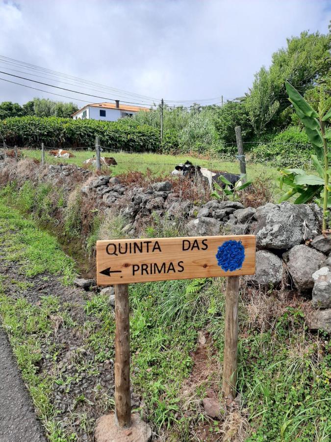 Quinta Das Primas Lomba  Zewnętrze zdjęcie